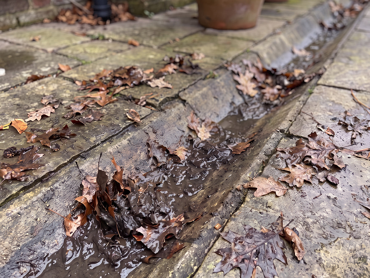 Outdoor cleaning
