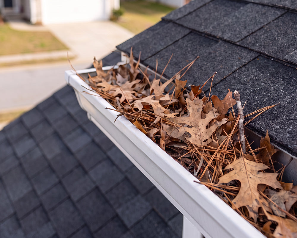 Before gutter cleaning