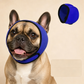 📢📢BUY 1 GET 1 FREE!  !! ⏰Waterproof Dog Hoodie – Calming fit & weather‑ready ✨