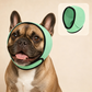 📢📢BUY 1 GET 1 FREE!  !! ⏰Waterproof Dog Hoodie – Calming fit & weather‑ready ✨