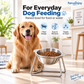 🥣15° Tilted Orthopaedic Feeding Bowl