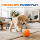 🏆Limited Time Sale 49% OFF 🐶🐾Smart Interactive Bouncing Ball
