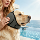 📢📢BUY 1 GET 1 FREE!  !! ⏰Waterproof Dog Hoodie – Calming fit & weather‑ready ✨
