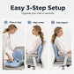 🪑 50% OFF! 💆 Ergonomic Memory Foam Seat Cushion – Built-In Back Support, Orthopedic & Versatile – Ideal for Office Chairs, Cars & Home Offices ✨