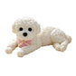 🧸 50% OFF! 🐶 Squeezable Teddy Dog – Stress Relief, Soft & Cute ✨