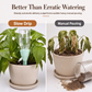 Automatic Plant Watering Spikes