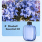 🥳SPECIAL OFFER 2026 🥳💞100K+ SOLD✨🌸Automatic Aromatherapy Diffuser🎁