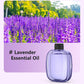 🥳SPECIAL OFFER 2026 🥳💞100K+ SOLD✨🌸Automatic Aromatherapy Diffuser🎁
