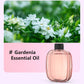 🥳SPECIAL OFFER 2026 🥳💞100K+ SOLD✨🌸Automatic Aromatherapy Diffuser🎁