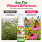 Outdoor Garden Butterfly Attracting Fragrance Spray