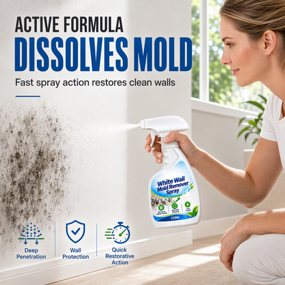 Fast-Acting Wall Mold Remover Spray