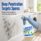 Fast-Acting Wall Mold Remover Spray